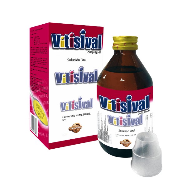 Vitisival Complejo B Jarabe 240ml Valmorca