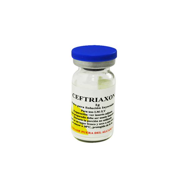 Ceftriaxona Ampolla 1gr. I.M/I.V - Reyoung