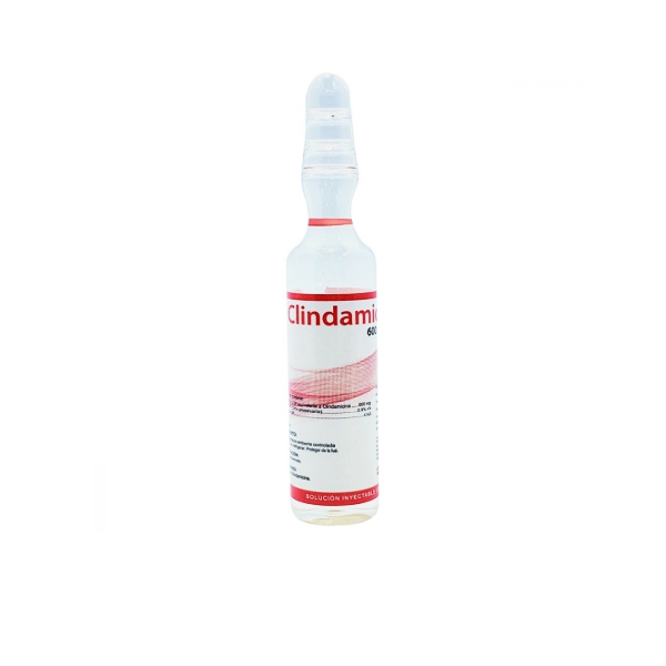 Clindamicina Ampolla 600mg/4ml IM/IV El Morro