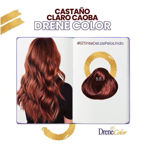 Drene Color Tinte 5.5 Castaño Claro Caoba 50Ml - Imagen 2