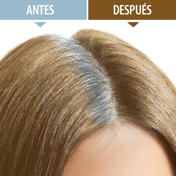 Valmy Retocador Instantaneo De Canas Avellana 4G - Imagen 3