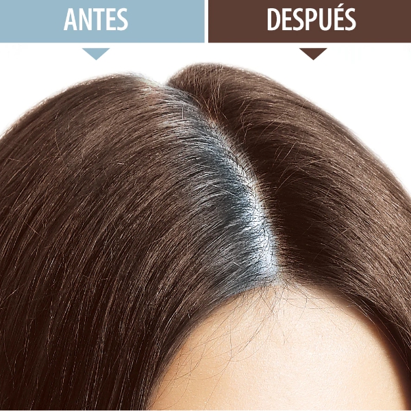 Valmy Retocador Instantaneo De Canas Castaño 4G - Imagen 3