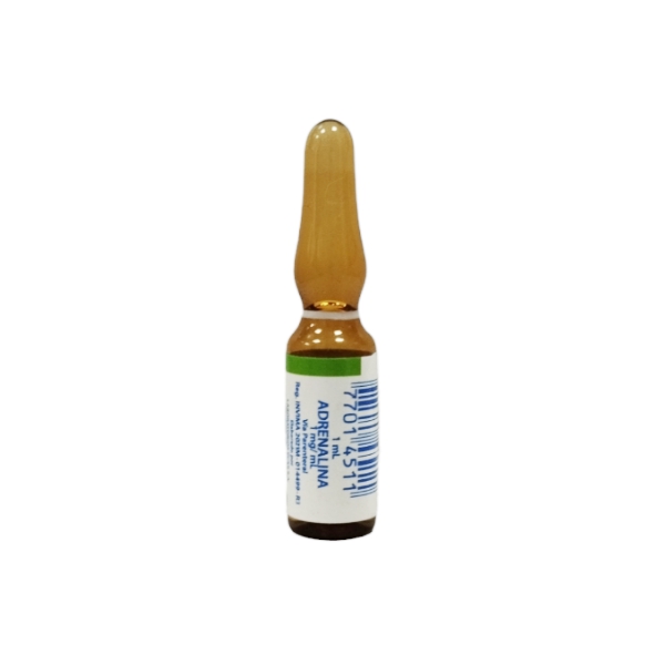 Adrenalina Ampolla 1Mg/1Ml I.V. Ecar