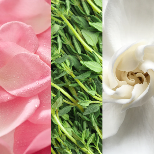 Mario Badescu Spray Facial Con Aloe, Hierbas Y Agua De Rosas 236Ml - Imagen 3