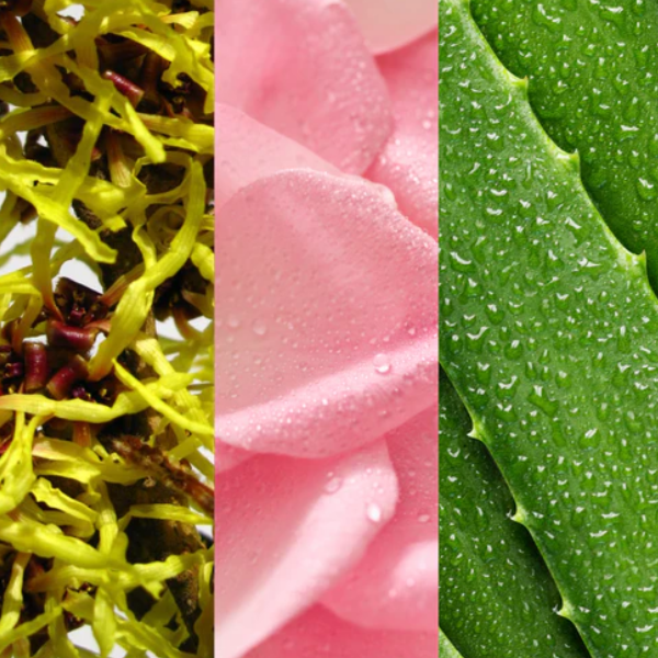 Mario Badescu Tónico De Hamamelis Y Agua De Rosas 236Ml - Imagen 3