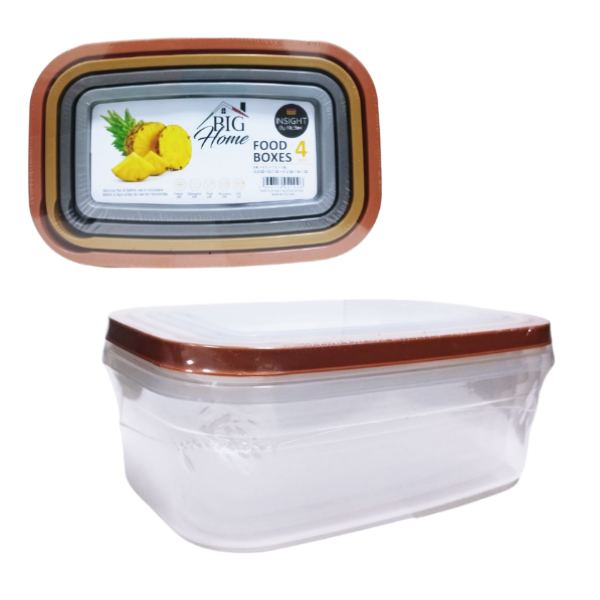 Conservador De Alimentos Plastico Rectangular X 4 Unidades Bg-Tlt-004