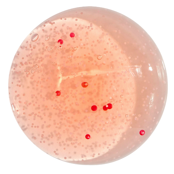 Equate Cleanse Body Wash Pink Grapefuit 251Ml - Imagen 3