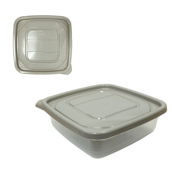 Alfa Hogar Conservador Plástico Cuadrado 0.6 Lt Pq01 01