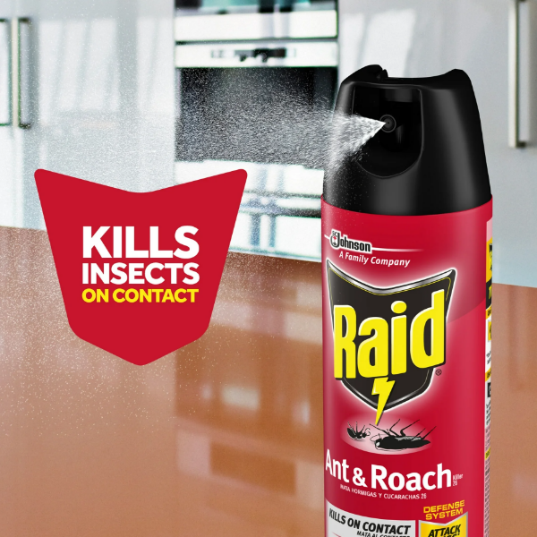 Raid Hormigas/ Cucarachas Outdoor Fresh 496Gr - Imagen 3