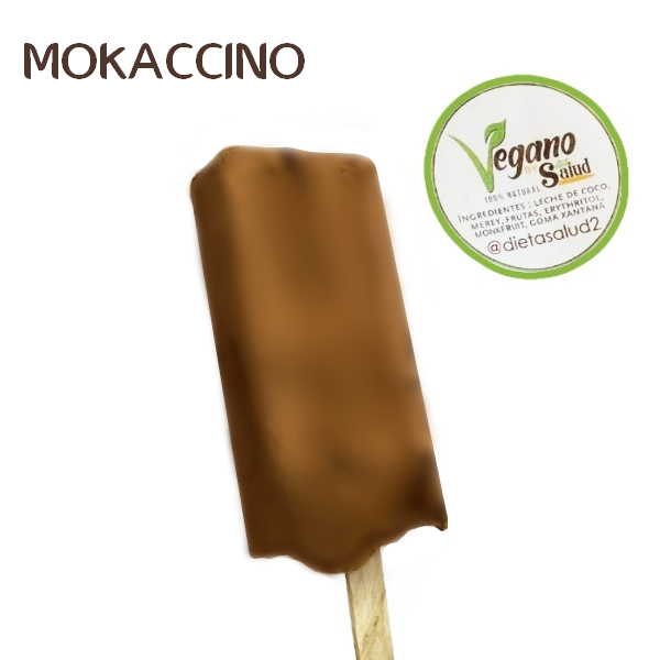 Dietasalud Helado Paleta Casero Mokaccino 85Gr