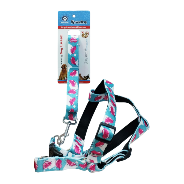 Maxcotas Accesorios Correa Con Perchera Mx-222