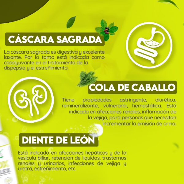 Detox 300Mg X 60 Cápsulas Arco Iris - Imagen 4