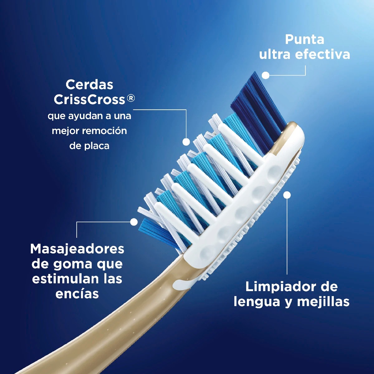 Oral-B Cepillo Dental 7 Beneficios X 2 Unidades - Imagen 2