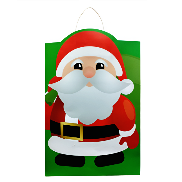 Bolsa De Regalo Grande Disipal Pr5050