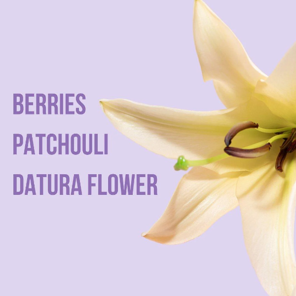 Beauty Creations Fragancia Corporal Leading You 250Ml - Imagen 2