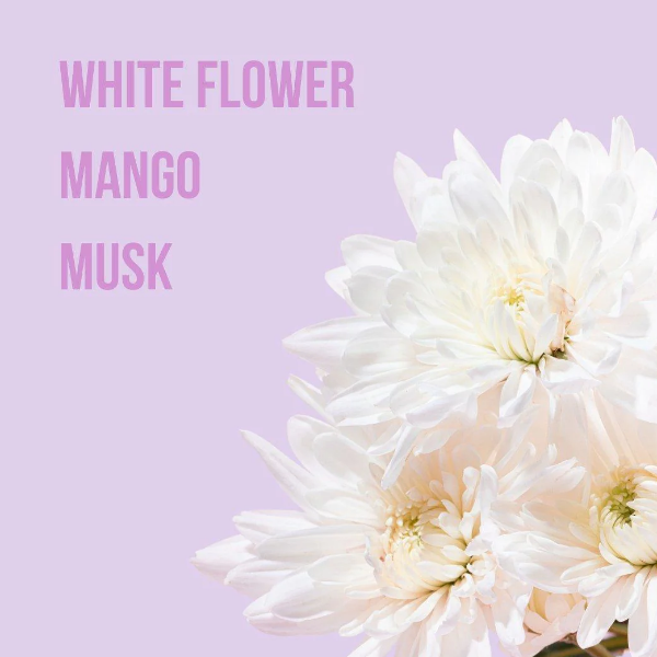 Beauty Creations Fragancia Corporal Wild Feelings 250Ml - Imagen 2