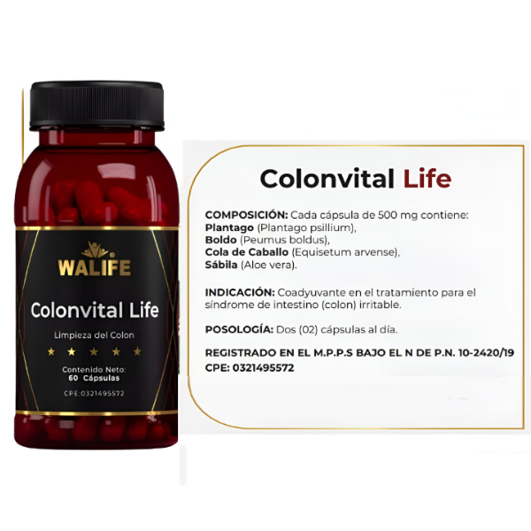 Colonvital X 60 Cápsulas Walife - Imagen 2