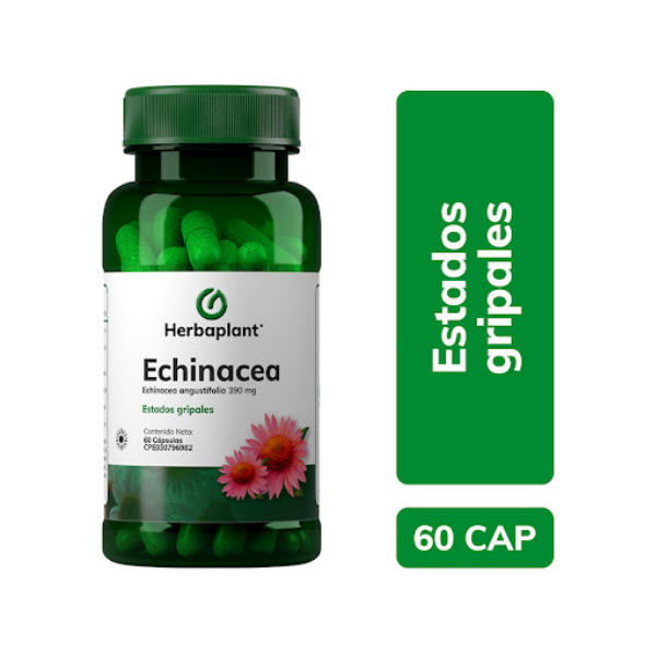Echinacea 390Mg X 60 Cápsulas Herbaplant - Imagen 2
