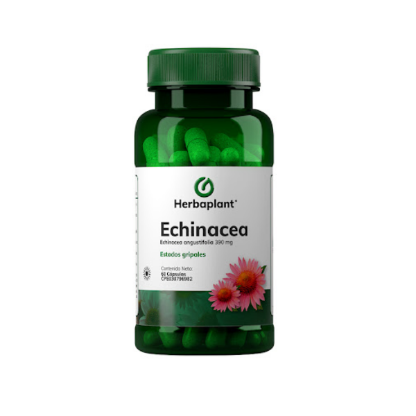 Echinacea 390Mg X 60 Cápsulas Herbaplant