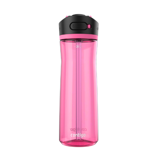 Contigo Ashland Dragon Fruit X 24Oz.