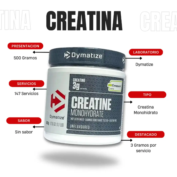 Dymatize Creatine Monohydrate Polvo Sin Sabor 500Gr - Imagen 2