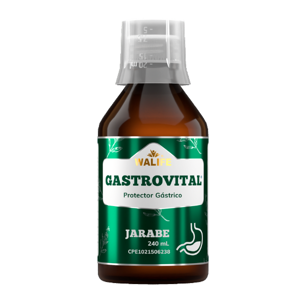 Gastrovital Jarabe Protector Gastrico X 240Ml Walife