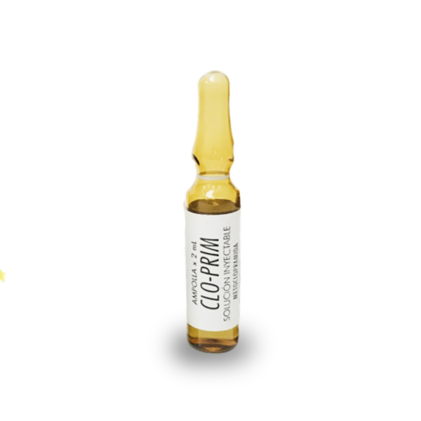 Metoclopramida Clo-Prim Ampolla 10Mg/2Ml I.V/I.M Lab. Arsal