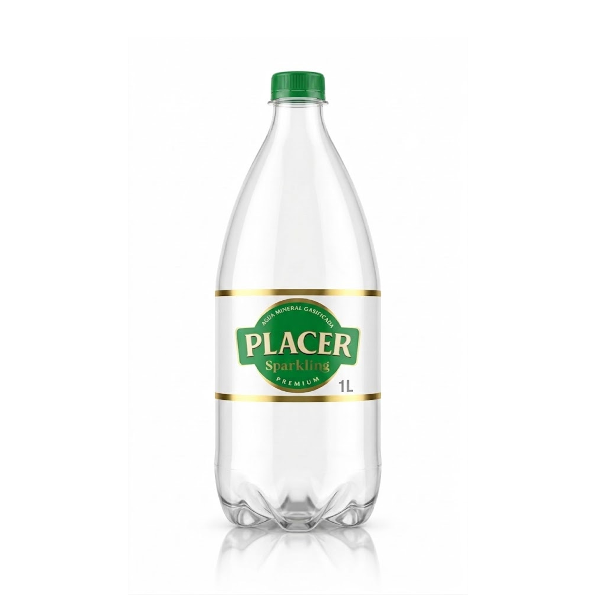 El Placer Agua Mineral Gasificada 1Lt